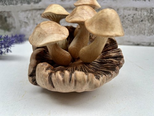Scultura sgabello fungo - , in