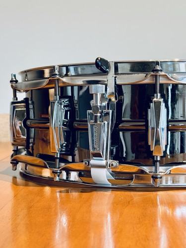 Ludwig black beauty - ludwig,