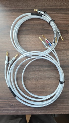 Qed xt25 dotato - di, spine