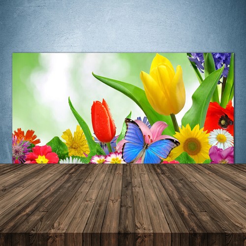 Splashback paraschizzi - splashback,