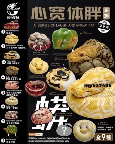Snake blind box animal - snake,