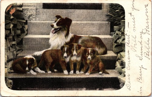 Cartolina antica famiglia - , cane