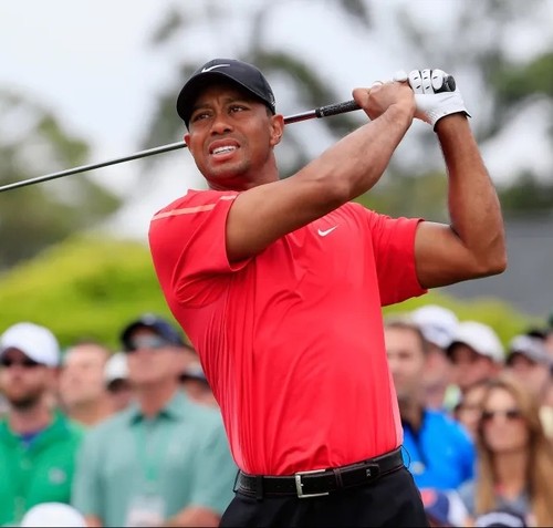 Nike golf tiger - nike,