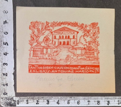Wunderkammer exlibris 385 - pl,