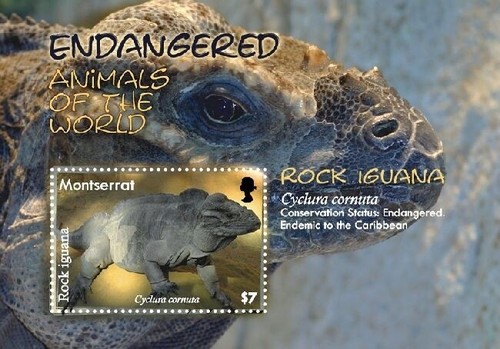 Montserrat 2008 endangered - montserrat,