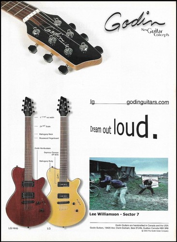 Stampa pubblicitaria chitarra