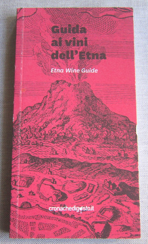 Libro guida vini - libro,