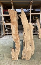 2 Tavole in legno di ulivo Max