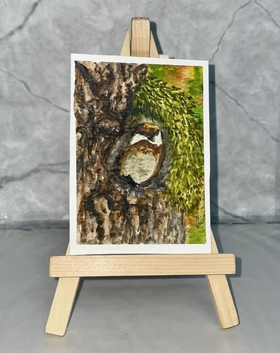 Acquerello realistico aceo - acquerello,