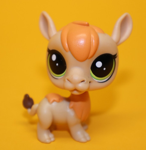 Hasbro littlest pet - littlest,