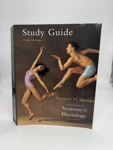 Fundamentals anatomy and - fundamentals,
