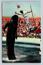 Vintage Bimbo the Whale