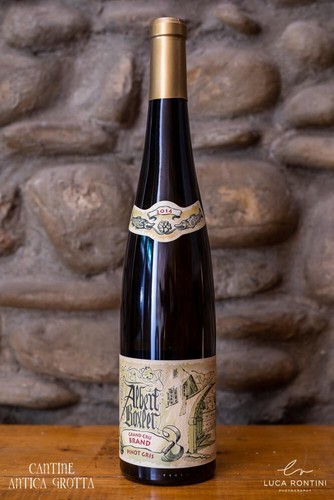 Pinot gris vin alsace - vin, grand
