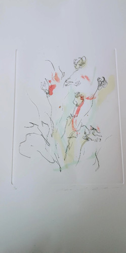 Incisione serigrafia firmata - , e