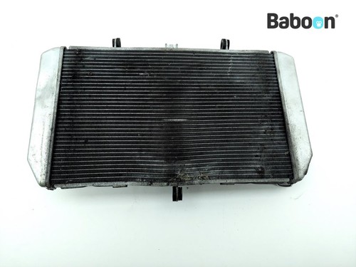 Radiator kawasaki 1000 - z, sx