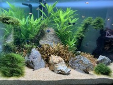 Acquario 300litri completo Usato