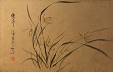 Quadro vintage orchidea