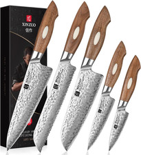 AUS-10 Acciaio Damasco 5 Pezzi