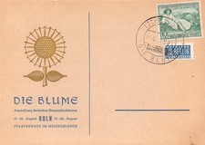 749103) tutto. Bes. Soka