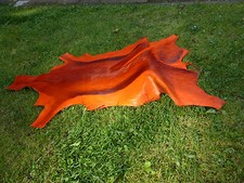 nuova pelliccia di capriolo