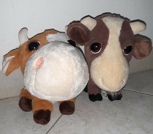 Animali amici della - amici,