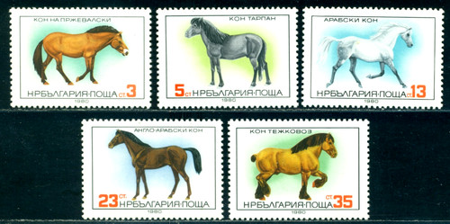 1980 razze cavalli - razze, cavallo
