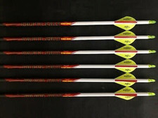 Black Eagle Outlaw Frecce