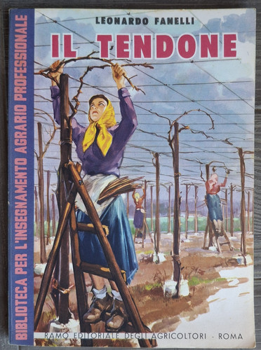 Fanelli tendone - l.fanelli, il