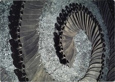 Franca Ghitti (1932-2012)