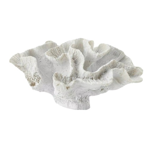 Scultura corallo marino