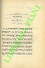 STROBEL Pellegrino - Saggio