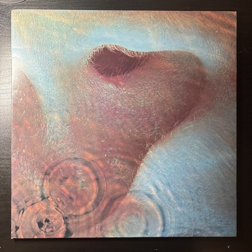 Pink floyd meddle 3c - pink, ‎–