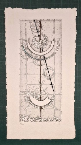 Walter valentini incisione - walter,