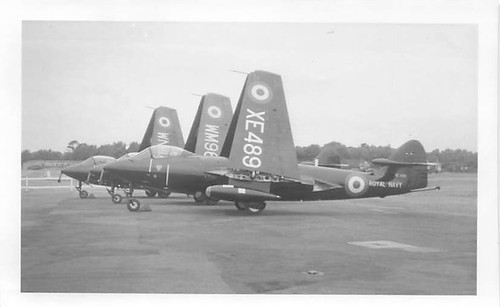 Foto hawker sea hawk - sea, aereo
