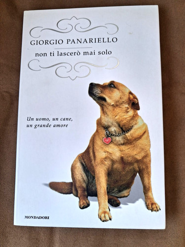 Non lascero mai solo - non, ti