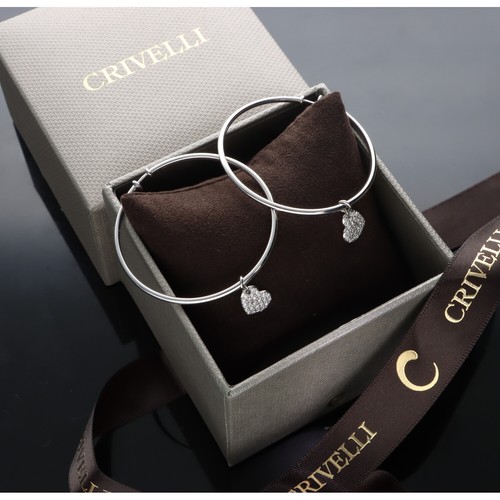 Orecchini cerchi crivelli - crivelli, in