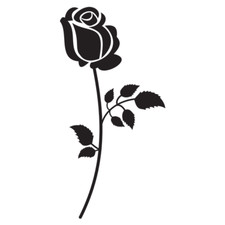 Adesivo decalcomania vinile