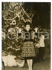 1962 ROMA Ristorante Giggi FAZI - Gina LOLLOBRIGIDA con albero di Natale *Foto