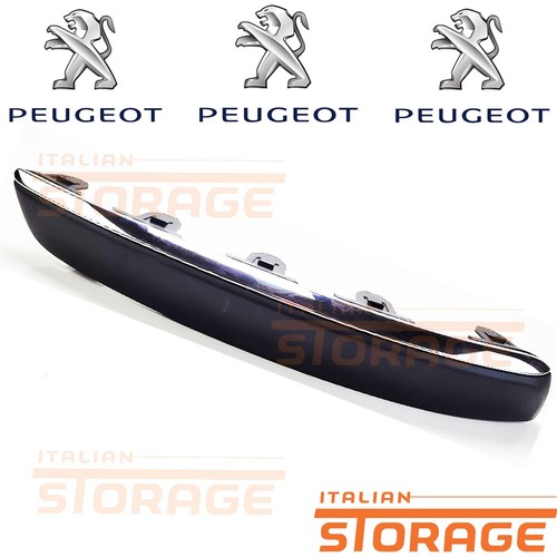 Peugeot 407 modanatura - peugeot,
