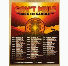 Poster Gov’t Mule Back in