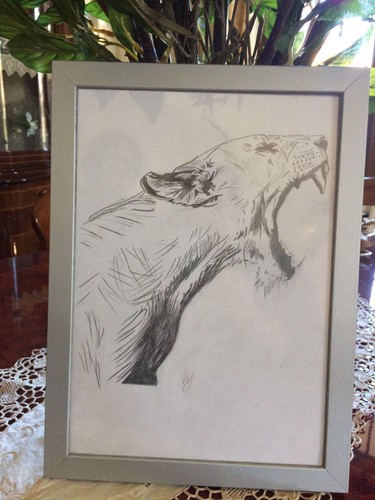 Disegno matita soggetto - disegno,