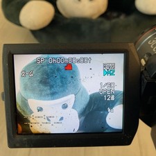Videocamera Panasonic NV-GS400