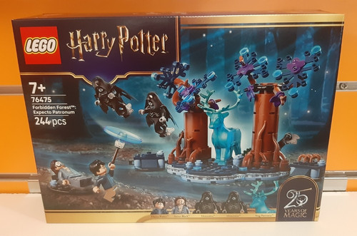 Lego harry potter 76475 - harry,