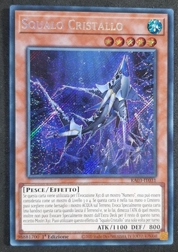 Squalo cristallo rara - squalo, segreta