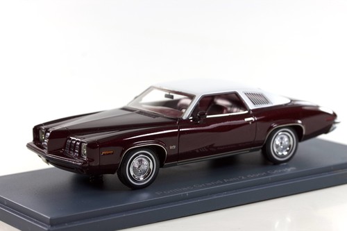 Neo 1973 pontiac grand - 1973,