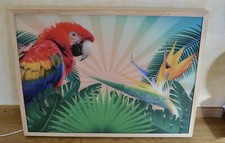 PANNELLO / QUADRO RETRO ILLUMINATO cm.80 X 60 PAPPAGALLO [VP10]