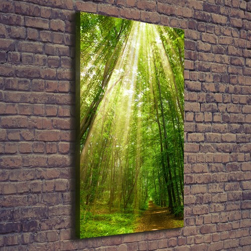 Quadro tela stampa - su,