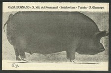 cartolina Casa Bugnano -