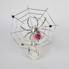 Spider on Web - Arachnid -
