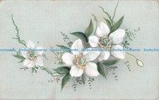 R344642 White Flowers Postcard 1915
